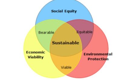 Image illustrant l'article 3-Pillars-of-Sustainability-600x400 de Les Clionautes