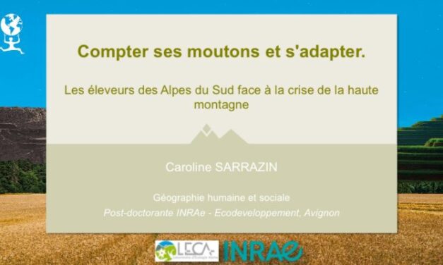 Compter ses moutons et s’adapter : les éleveurs des Alpes du Sud face à la crise de la haute montagne