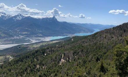 Restaurer la montagne : le temps des forestiers de 1827 à nos jours