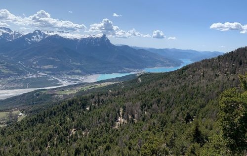 Restaurer la montagne : le temps des forestiers de 1827 à nos jours