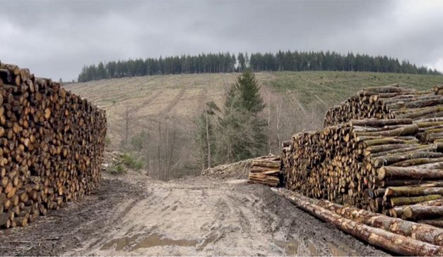 Des bassines aux coupes rases : un regard géographique sur les mobilisations environnementales