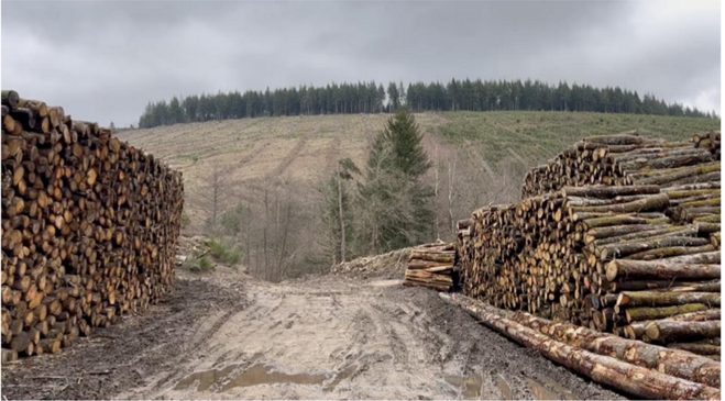 Des bassines aux coupes rases : un regard géographique sur les mobilisations environnementales