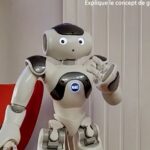 Travailler l’HGGSP avec un robot